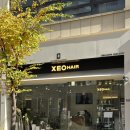 뚜레쥬르영등포시장역점 | 영등포시장역 미용실 추천 제오헤어 수진 부원장님 커트 후기