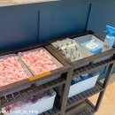 지코인 노래연습장 이미지