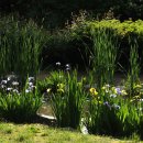 인천아시아드경기장 이미지