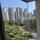 에버클린 - 평택시 | 경기 의왕시 내손동 래미안에버하임 아파트 – 비둘기 퇴치 사례 (반짝클린 시공 후기)