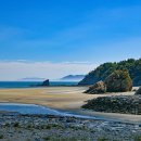 사곶해변 티스토리