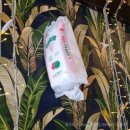 미미네집 | [종로 맛집] 익선동냉삼집 미미네 메뉴 맛 방문 후기