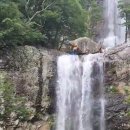 경남 밀양 재약산 돈릿지와 층층폭포하강 동영상 이미지