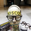 갈마안경원 이미지