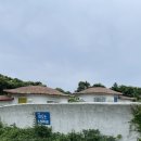 발트하우스 | 제주 서귀포 숙소 | 가우디가 생각나는 제주 가성비 감성 숙소 내돈내산 발트하우스펜션 EDEL룸 후기