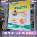 국수나무 이미지