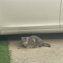 드론(무인멀티콥터3종) 국가자격증과정 이미지