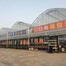 식장산다육