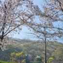 양양읍 실내게이트볼장 | 세종시 무료 인라인스케이트장 오가낭뜰근린공원 위치 주차 아이와 가볼만한 곳 추천