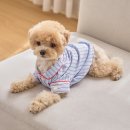 나의클로에 | 강아지 고양이 잠옷 추천 | 도씨 실크핏 클로에 펫 파자마 후기