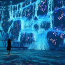 노형수퍼마켙 이미지