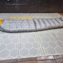 포드그루와 이미지