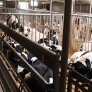 미미행정사 이미지