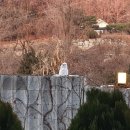 카페서천담 이미지
