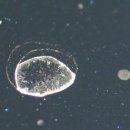 디테일링가이드 이미지