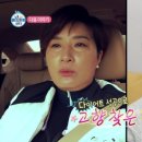 포레스트 다이어트 이미지