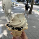 왕초보요리(남성) | 2025년 9월(1)