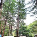 가족쉼터 이미지