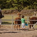 동석목장 이미지