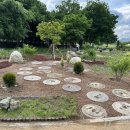 남천둔치1 이미지