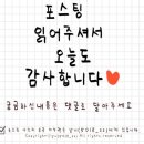 메르시마리 이미지