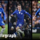 LOVELY DAY'S GROOMING 이미지