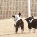 (주)진환 이미지