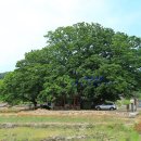 용암 농촌체험 휴양마을 이미지