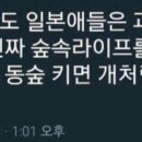 봉쥬르 살롱 이미지