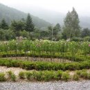 2019-주101 Daum카페