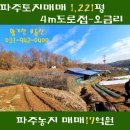 양지바른공인중개사사무소 이미지