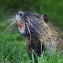 거대건설(주) 이미지