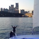 (주)삼주다이아몬드베이 이미지