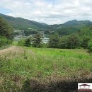 강원도 횡성군 교항북로 이미지