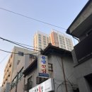 용광 | 부산 남포동 보수동 회맛집!!ㅣ용광횟집ㅣ 내돈내산 솔직후기!!!