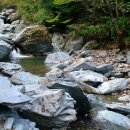 진부(오대산)관광농원 이미지