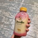 한사랑유통 | [송차이 + 대만 일상] 대만에서 한사랑 산악회 회장님 만난 썰