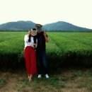 대평오리 이미지