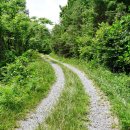 외씨버선길(장계향디미방길) 이미지