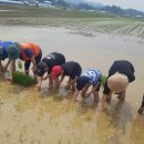 평촌목장 이미지