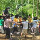 리라숲어린이집 이미지