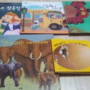 달성공원 동물병원 이미지