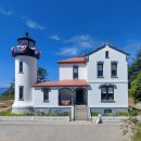 완도 주도 상록수림 이미지