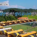 안면도스쿨버스캠핑장 이미지
