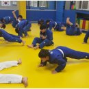 용인대덕양유도관 이미지