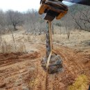 일광농장 이미지