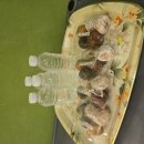 4월 셋째주 간식입니다.(던킨도너츠,생수) 이미지