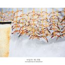 논골담길2 이미지