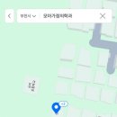 모아가정의학과 - 은평구 역말로 135 | 모아가정의학과