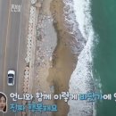 예인투어